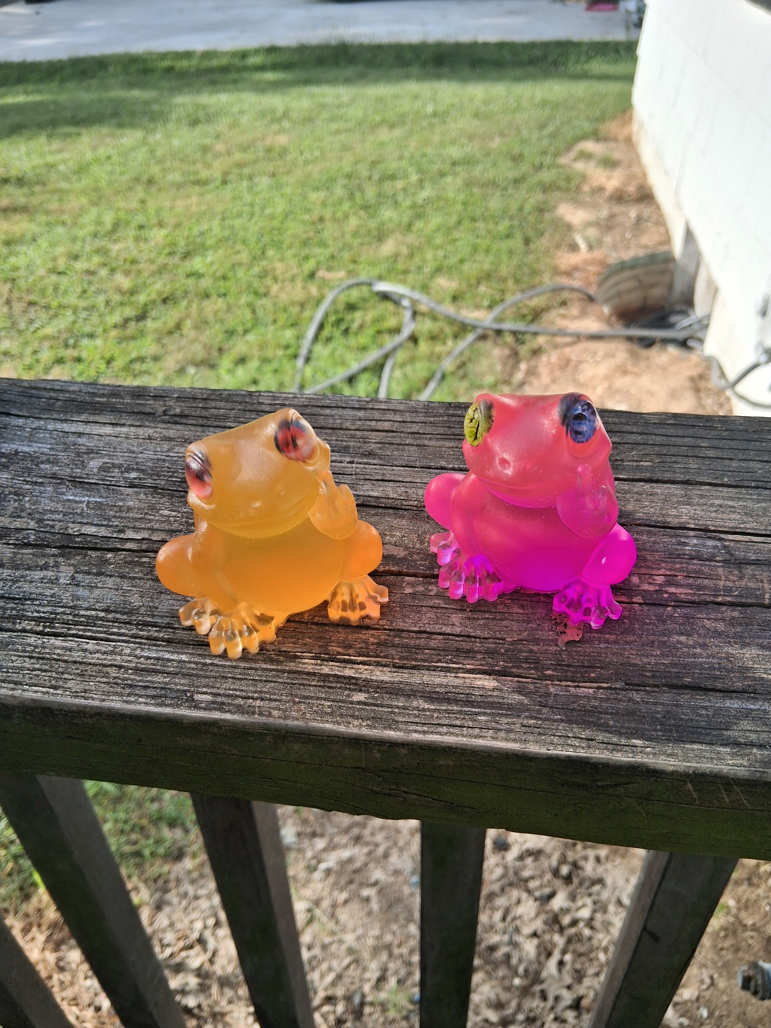 Discount Doozy Fed Up Frogs
