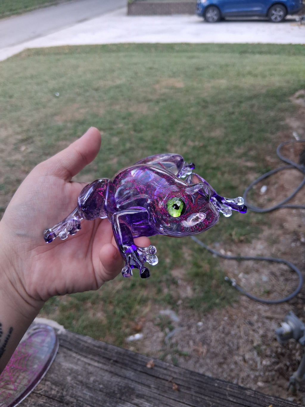 Morlene The Frog