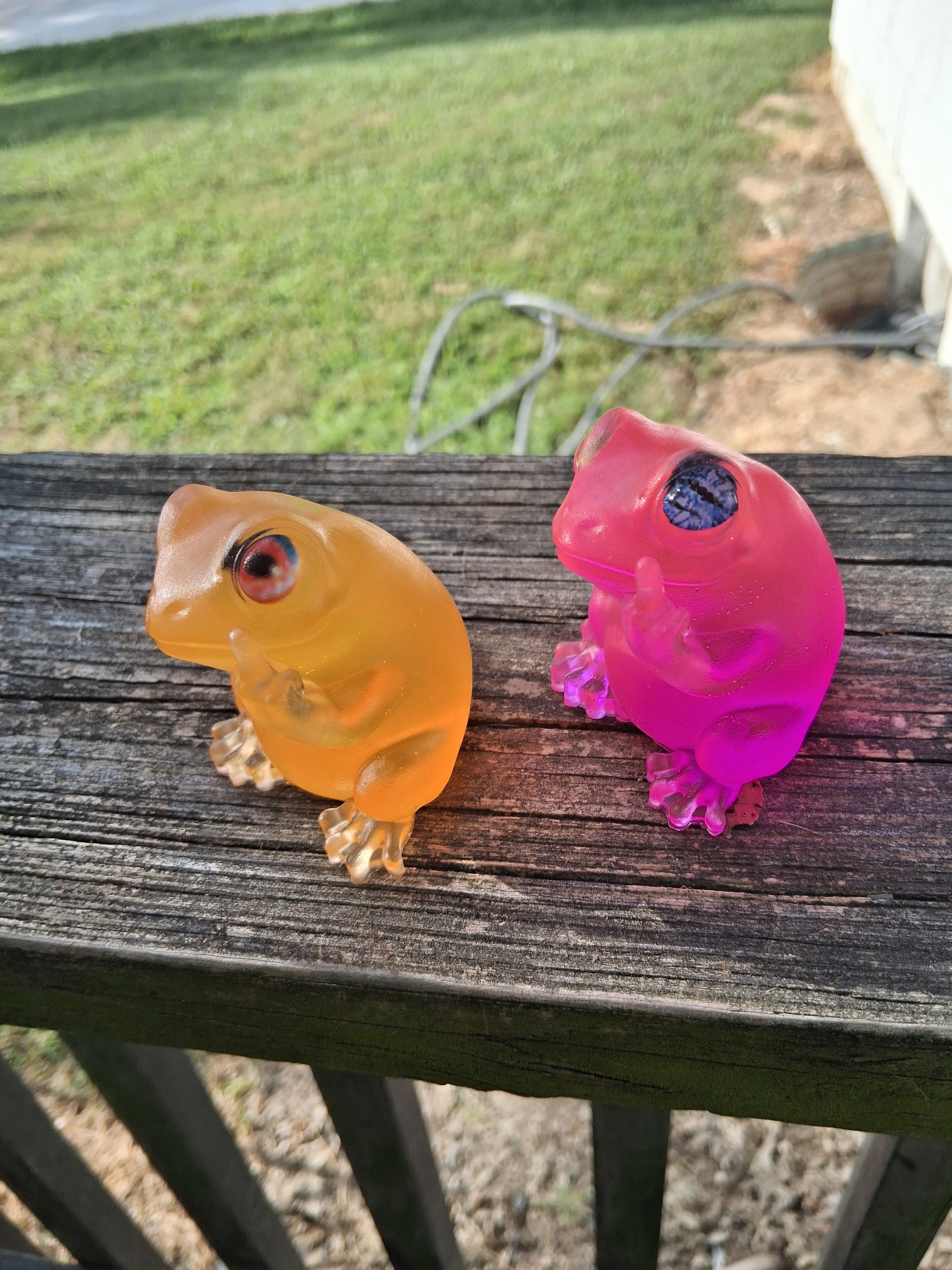 Discount Doozy Fed Up Frogs