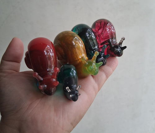 5pc Snail Crew Set