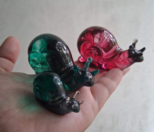 5pc Snail Crew Set